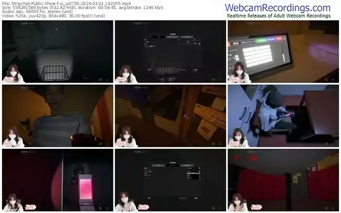 stripchat-ui_ui0706-03-01-2024-13-20-55