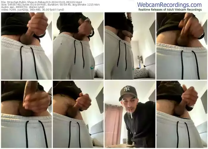 stripchat-rebeu313-03-01-2024-09-32-22