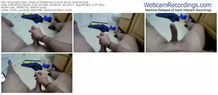 stripchat-themrfox13-03-01-2024-03-26-24