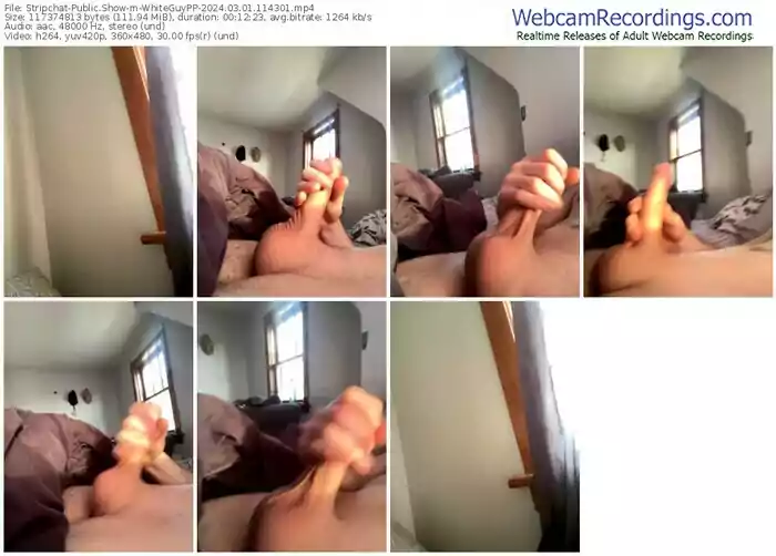 stripchat-whiteguypp-03-01-2024-11-43-01