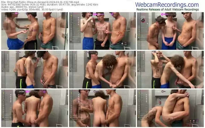 stripchat-ibizawild-03-01-2024-03-17-08