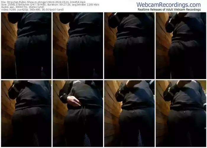 stripchat-stinger19924-03-01-2024-10-44-54