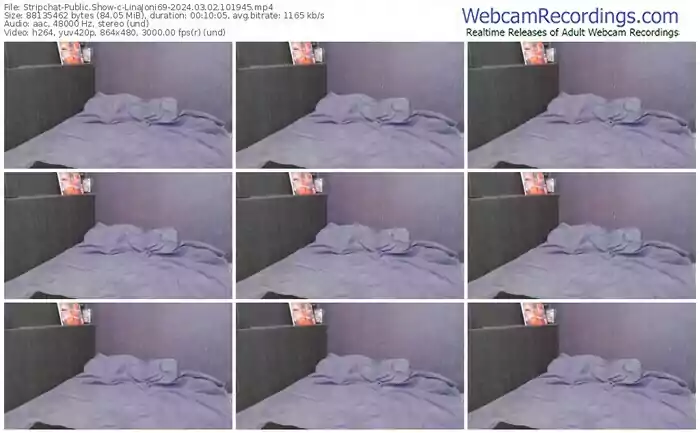 stripchat-linajoni69-03-02-2024-10-19-45