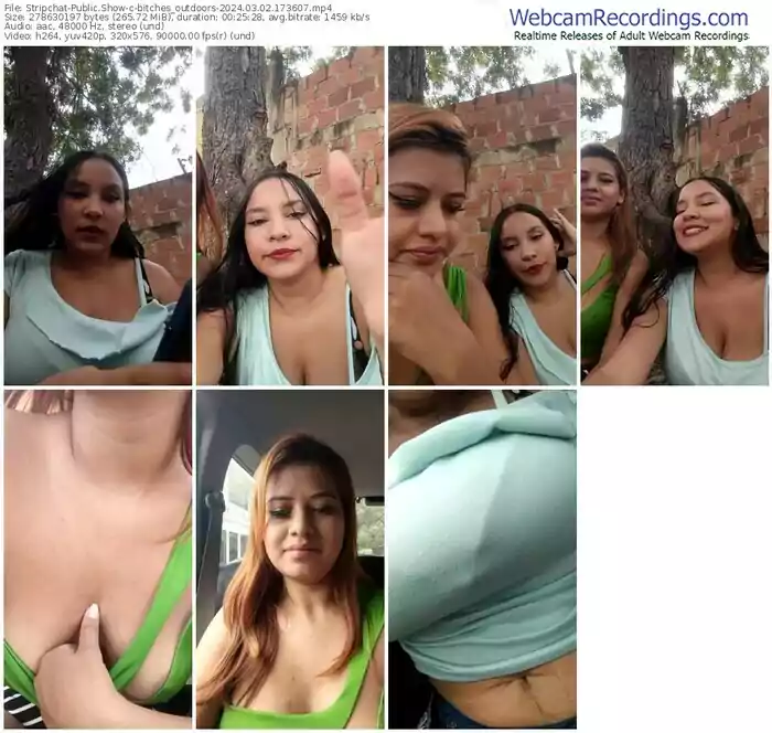 stripchat-bitches_outdoors-03-02-2024-17-36-07