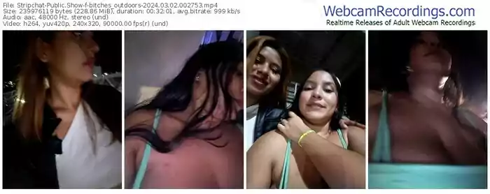 stripchat-bitches_outdoors-03-02-2024-00-27-53