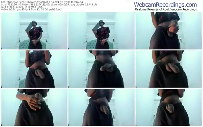 stripchat-eggplant_13-03-02-2024-01-46-03