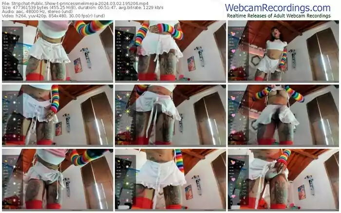 stripchat-princessmelimejia-03-02-2024-19-52-06