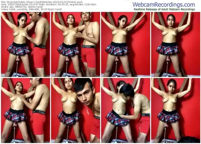 stripchat-danftmeiisex-03-03-2024-05-44-41