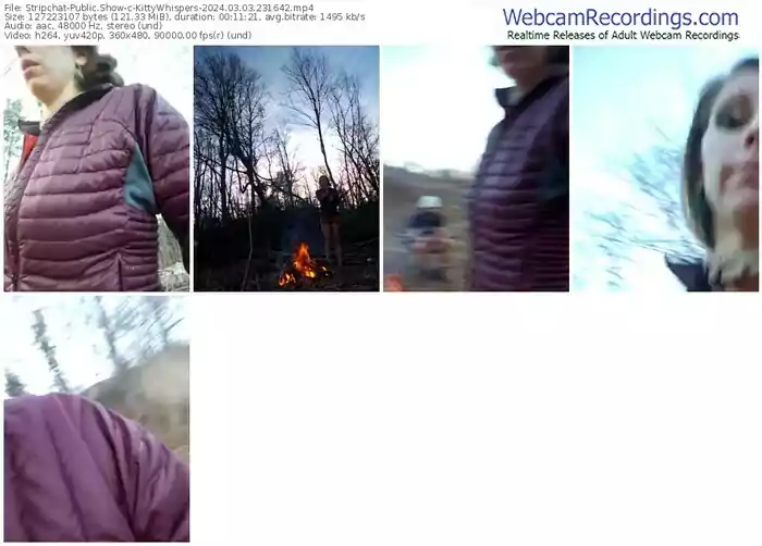 stripchat-kittywhispers-03-03-2024-23-16-42