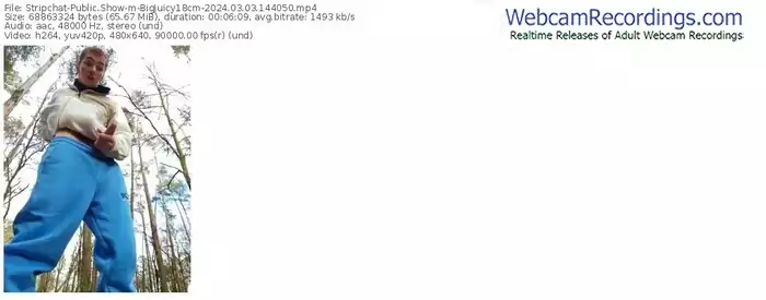 stripchat-bigjuicy18cm-03-03-2024-14-40-50