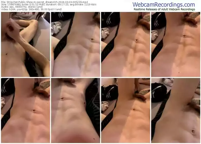 stripchat-secret_dream415-03-03-2024-00-52-39