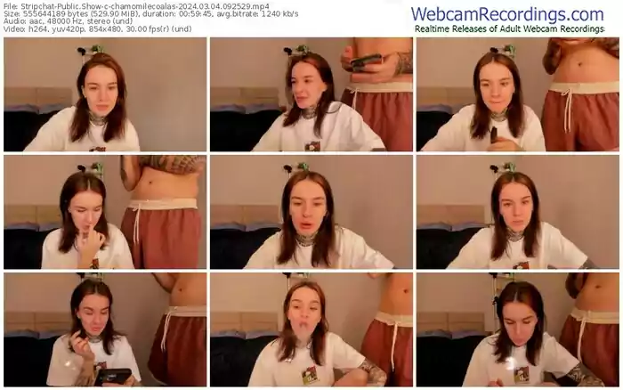 stripchat-chamomilecoalas-03-04-2024-09-25-29