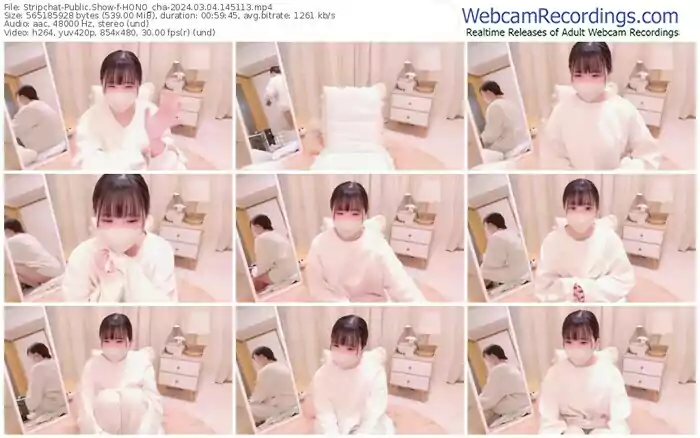 stripchat-hono_cha-03-04-2024-14-51-13