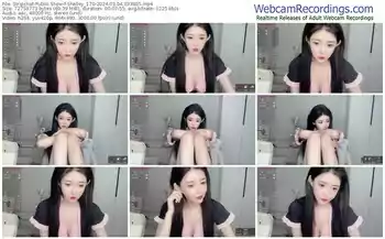 stripchat-shelley_170-03-04-2024-03-38-05