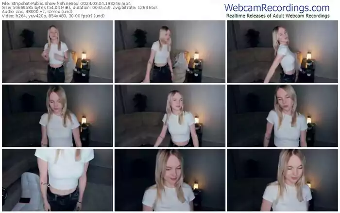 stripchat-shinesoul-03-04-2024-19-32-46