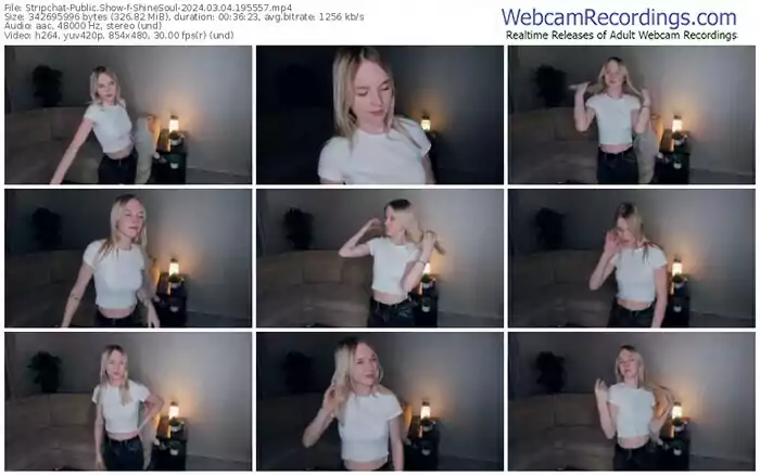 stripchat-shinesoul-03-04-2024-19-55-57