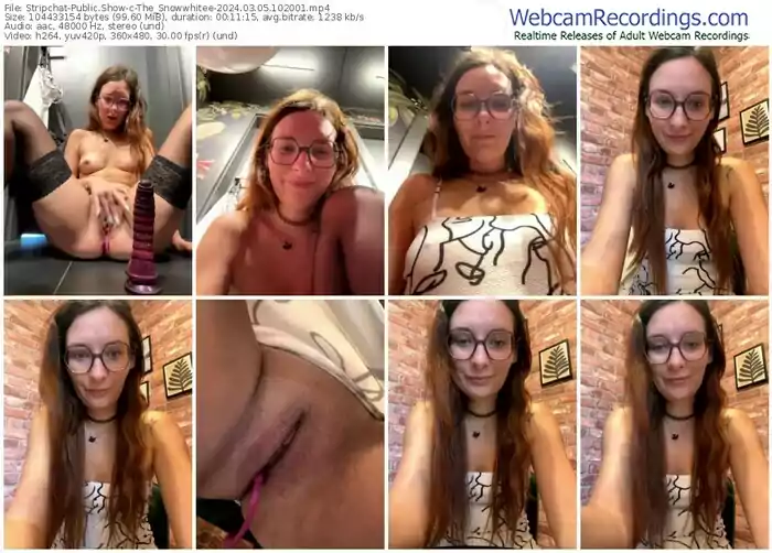 stripchat-the_snowwhitee-03-05-2024-10-20-01