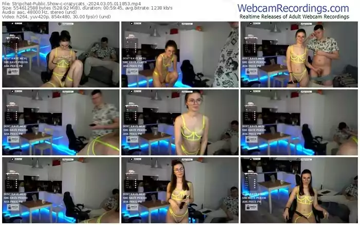 stripchat-crazycats_-03-05-2024-01-18-53