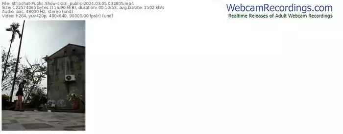 stripchat-zizi_public-03-05-2024-03-28-05