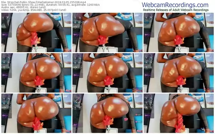 stripchat-merliasomer-03-05-2024-15-53-38