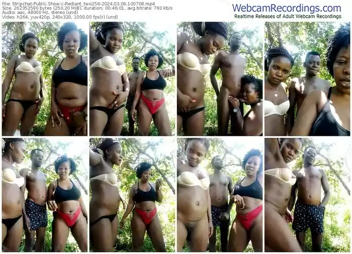 stripchat-rediant_two256-03-06-2024-10-07-08