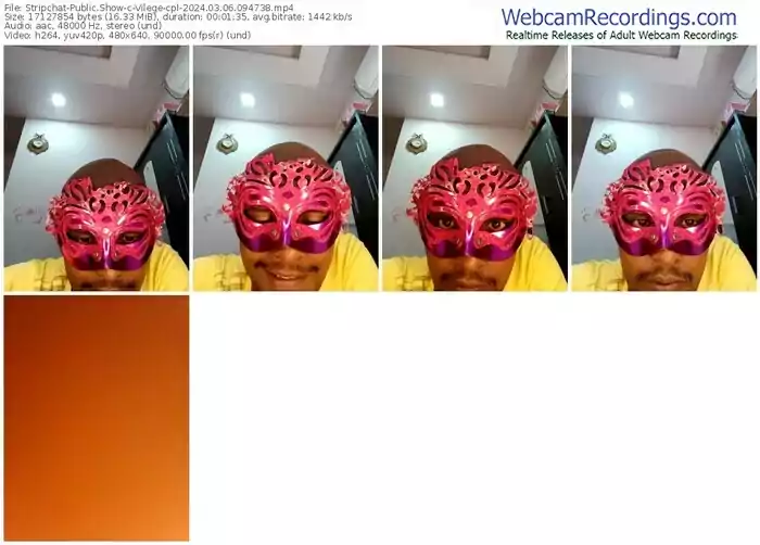 stripchat-vilege-cpl-03-06-2024-09-47-38