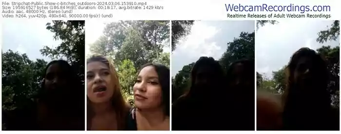 stripchat-bitches_outdoors-03-06-2024-15-39-10