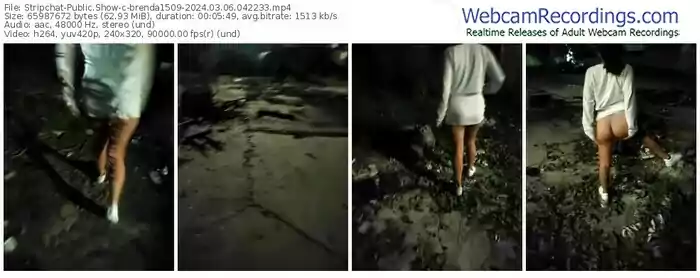 stripchat-brenda1509-03-06-2024-04-22-33