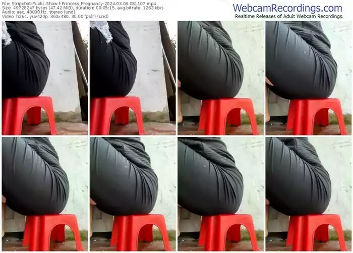 stripchat-princess_pregnancy-03-06-2024-08-11-07