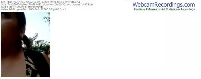 stripchat-caro_sweett-03-06-2024-22-57-28