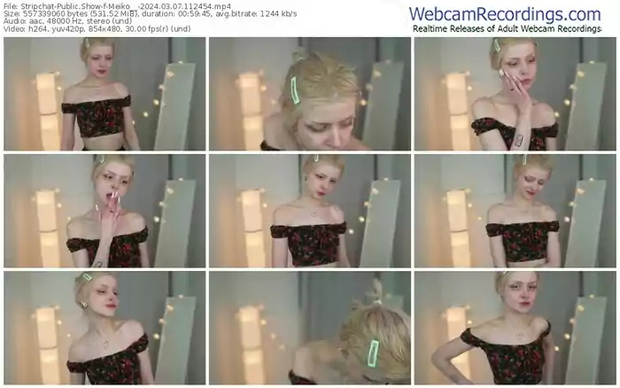 stripchat-meiko__-03-07-2024-11-24-54