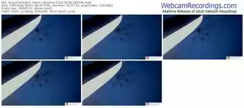 stripchat-bzzzme-03-08-2024-06-45-09