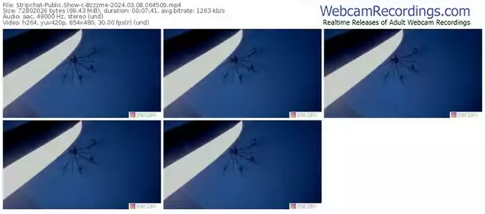 stripchat-bzzzme-03-08-2024-06-45-09