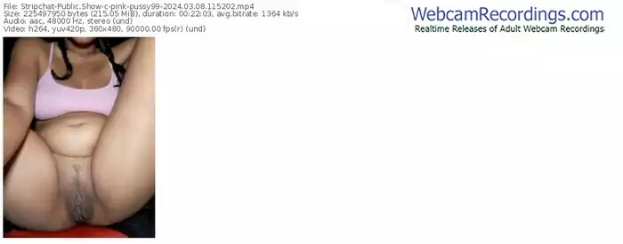 stripchat-pink-pussy99-03-08-2024-11-52-02