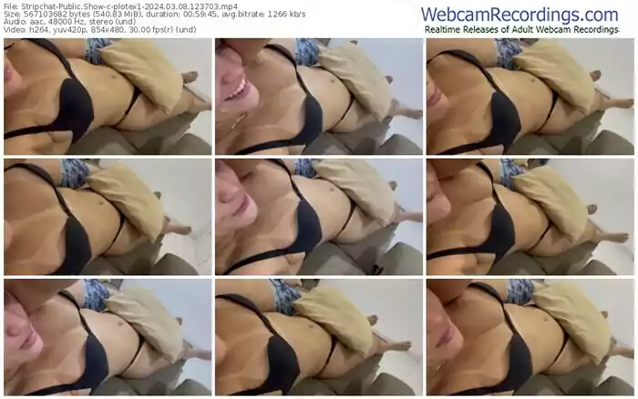 stripchat-plotex1-03-08-2024-12-37-03