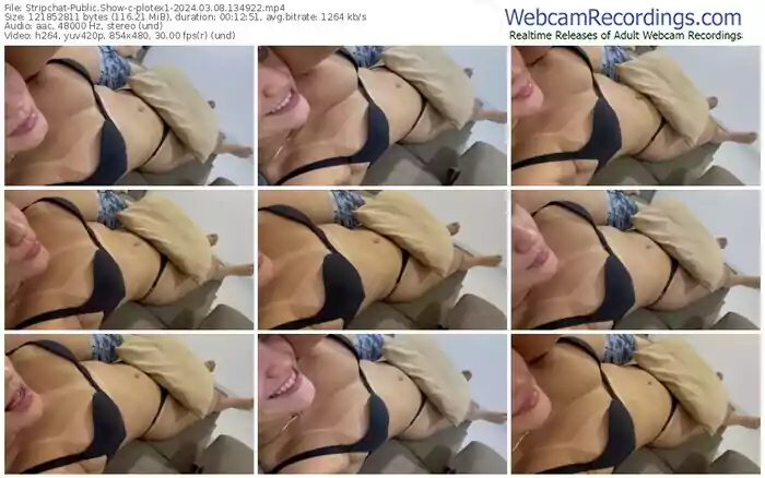 stripchat-plotex1-03-08-2024-13-49-22