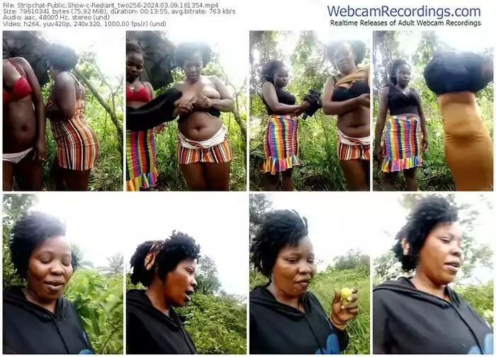 stripchat-rediant_two256-03-09-2024-16-13-54