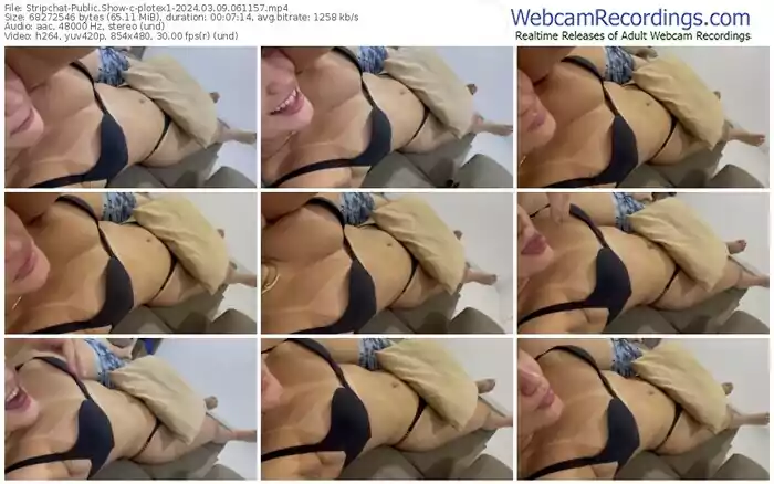 stripchat-plotex1-03-09-2024-06-11-57