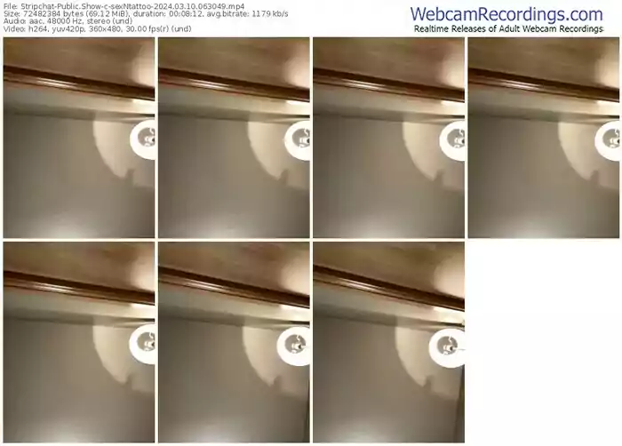 stripchat-sexntattoo-03-10-2024-06-30-49