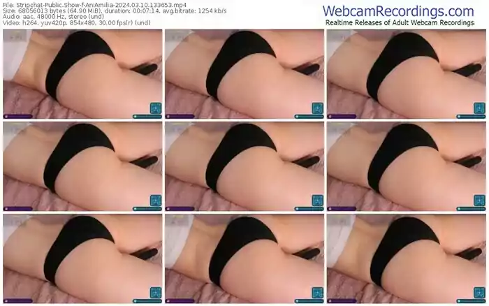 stripchat-aniamilia-03-10-2024-13-36-53