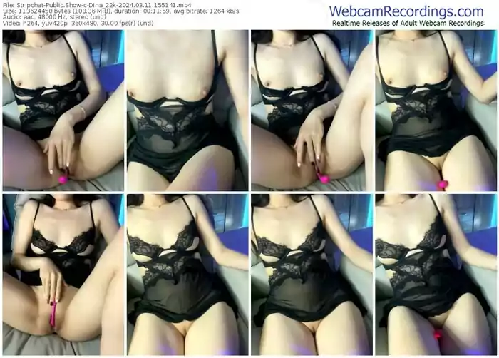 stripchat-dina_22k-03-11-2024-15-51-41