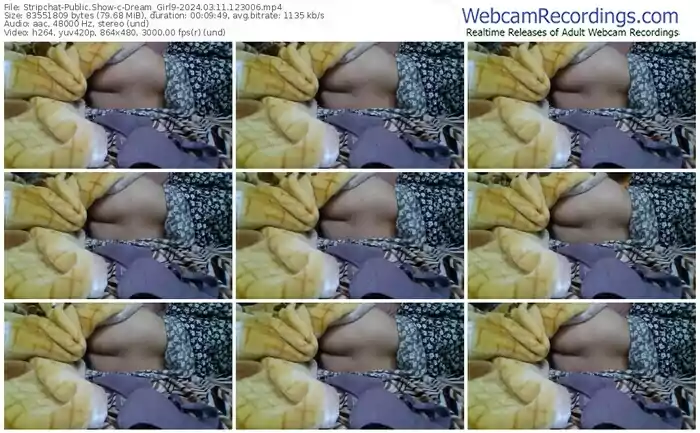 stripchat-dream_girl9-03-11-2024-12-30-06