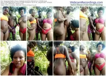 stripchat-rediant_two256-03-11-2024-12-33-20