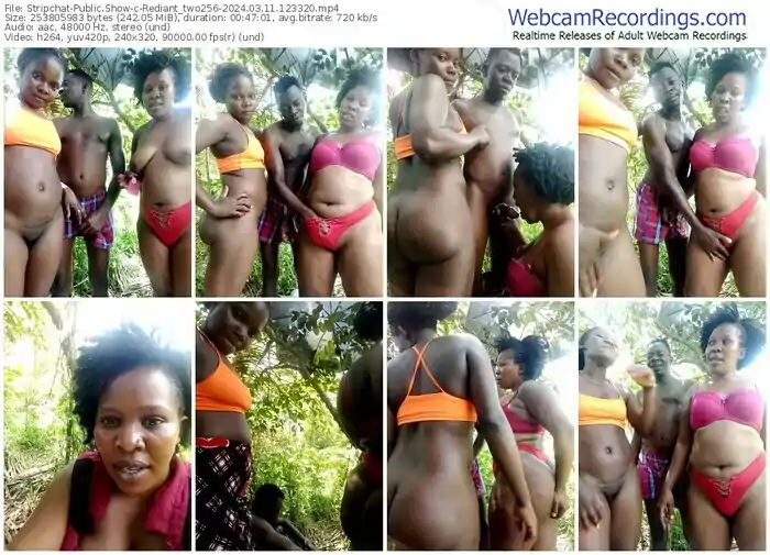 stripchat-rediant_two256-03-11-2024-12-33-20