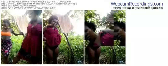 stripchat-rediant_two256-03-11-2024-16-48-28