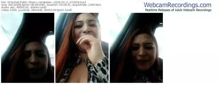 stripchat-renatalee---03-11-2024-22-33-09