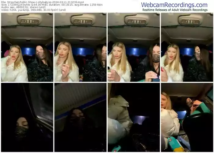 stripchat-shybabyss-03-11-2024-21-32-39