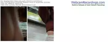 stripchat-zizi_public-03-11-2024-04-44-00