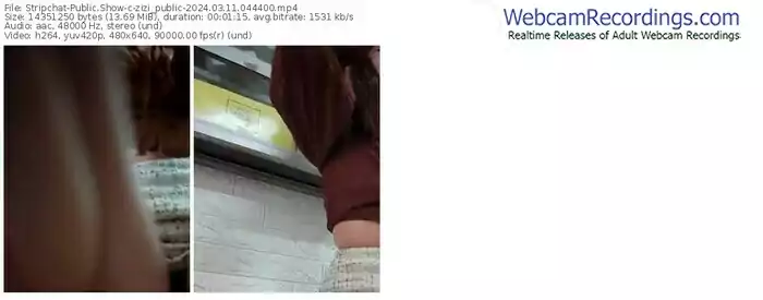 stripchat-zizi_public-03-11-2024-04-44-00