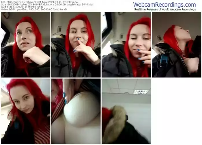 stripchat-frost_foxy-03-11-2024-07-17-47